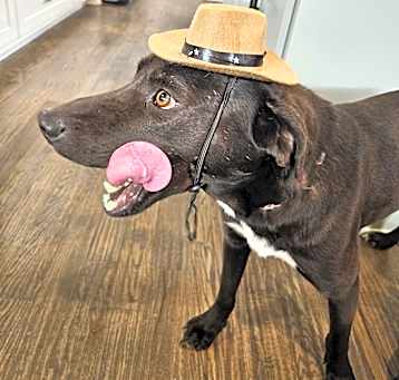 Photo of Willie