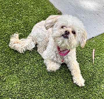 Photo of Bayla