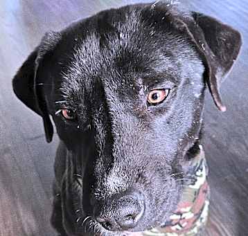 Photo of Waylon