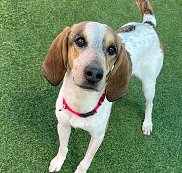Photo of Brooklyn A2187429