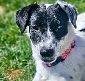 Photo of Lily5