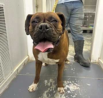 Photo of Lucy