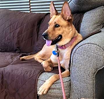 Photo of Sophie