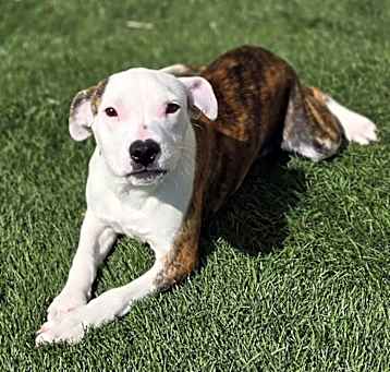 Photo of Zara