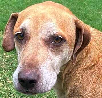 Photo of Burt