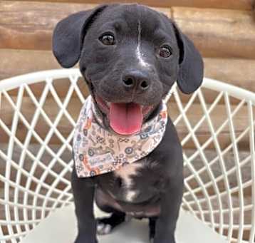 Photo of EDDIE