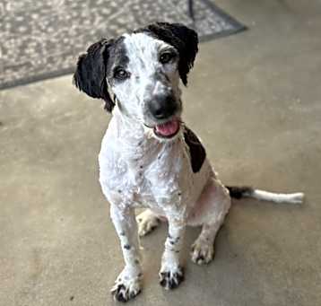 Photo of Aria Doo