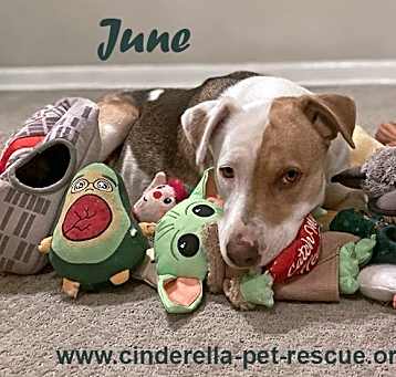 Photo of June