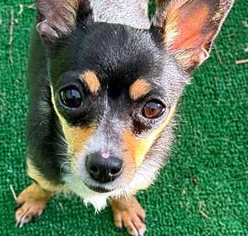 Photo of RUBY