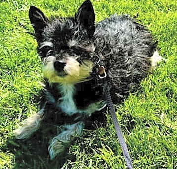 Photo of Maggie Mae