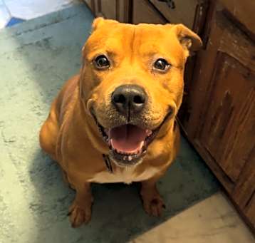 Photo of Marlo