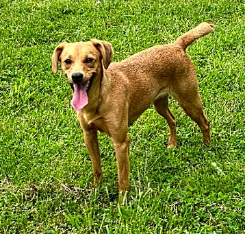 Photo of Molly