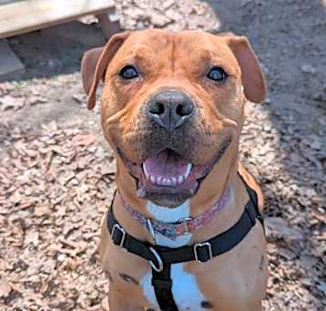 Photo of Sweet Sammi