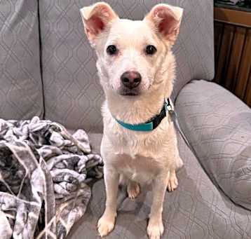 Photo of Lilly