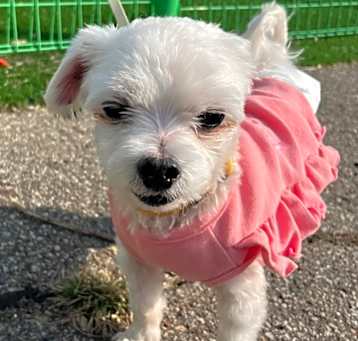 Photo of Winny