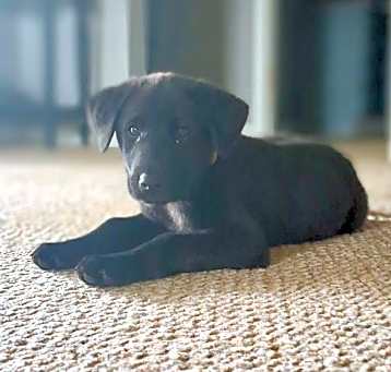 Photo of Reign