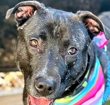 Photo of Chloe 2/2