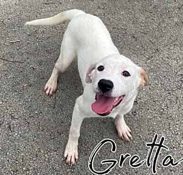 Photo of Gretta