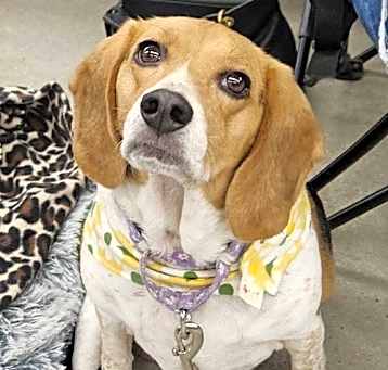 Photo of Daisy Lou