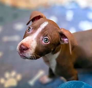 Photo of Kourtney - In Foster