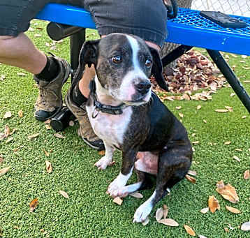 Photo of Cooper