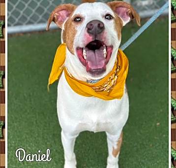 Photo of DANIEL