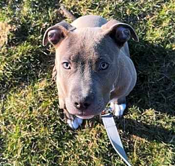Photo of Jax