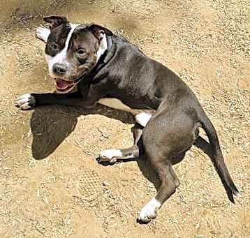 Photo of Goldberg