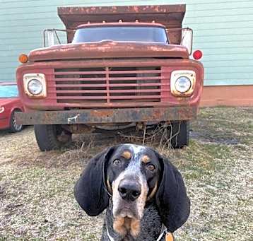 Photo of Kip