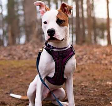 Photo of TUCKER