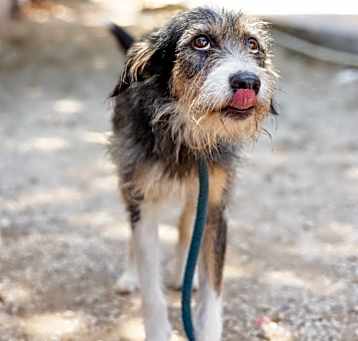 Photo of Honey