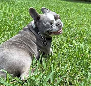 Photo of Kali