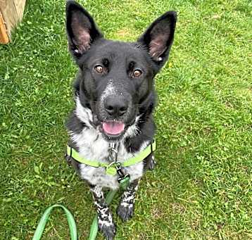 Photo of Roxy