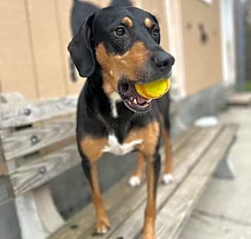 Photo of Jinx