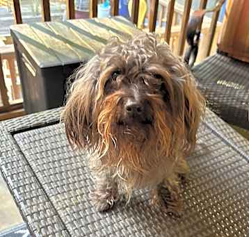 Photo of Cash