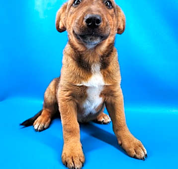 Photo of Vinny