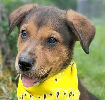 Photo of Floyd