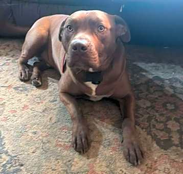 Photo of Willi
