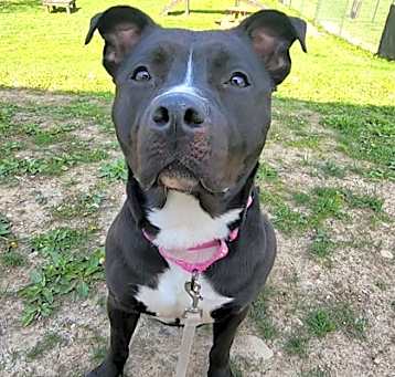 Photo of Rogue