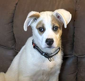 Photo of Kevin
