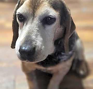 Photo of Edna