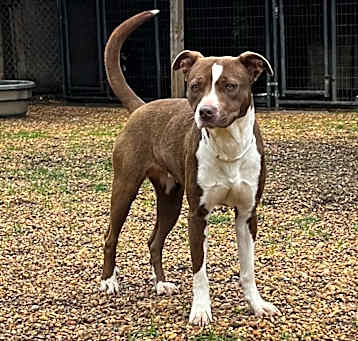 Photo of Coco