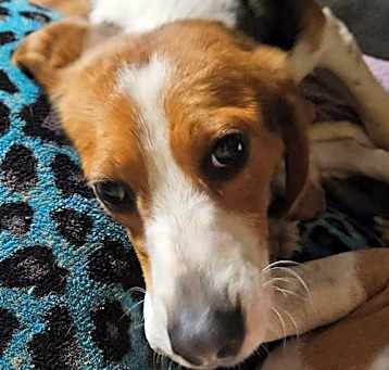 Photo of Doc