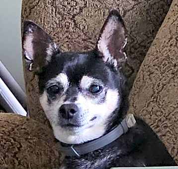 Photo of PACO