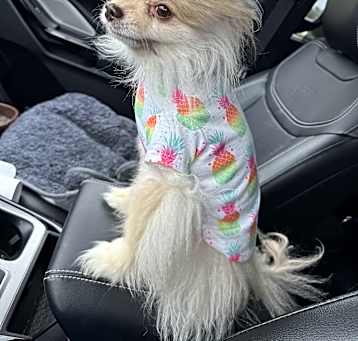 Photo of Bentley