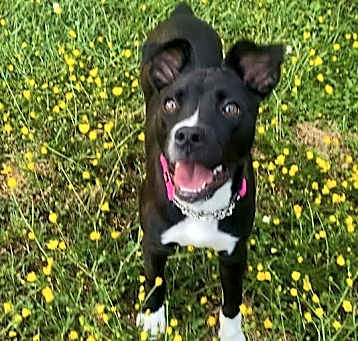 Photo of Tia Marie