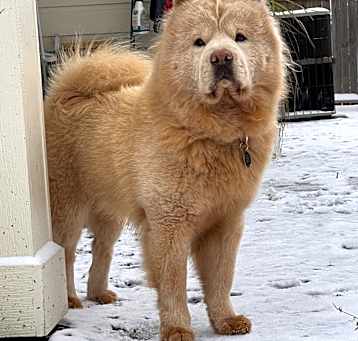 Photo of Bombon