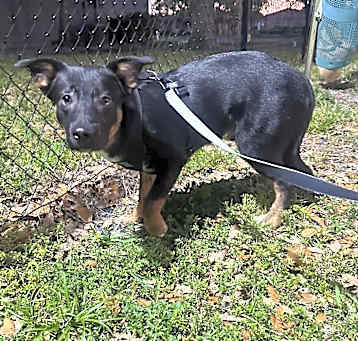 Photo of Zuko