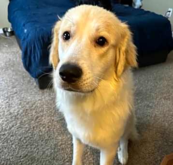 Photo of Aurora