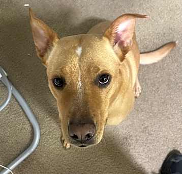 Photo of Zeus